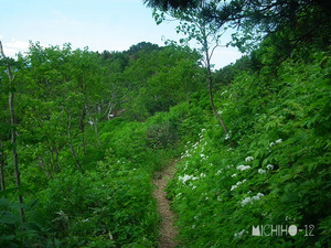登山道
