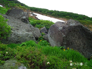 登山道