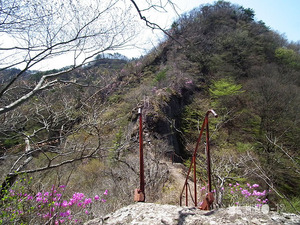登山道