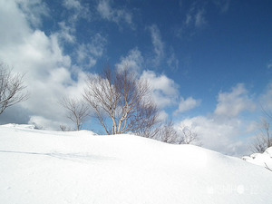 青空