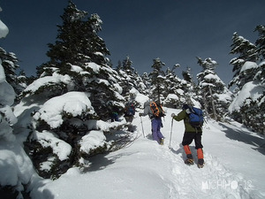 登山道