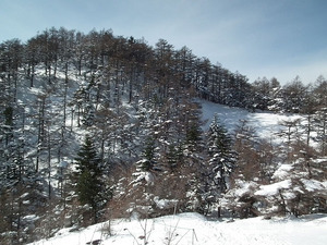 登り返し