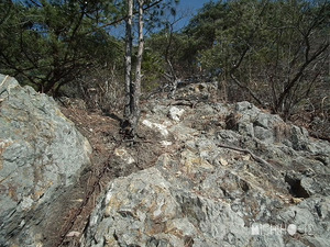 登山道