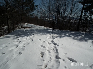 登山道