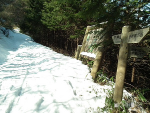登山道