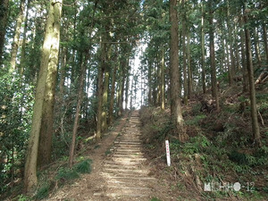 登山道