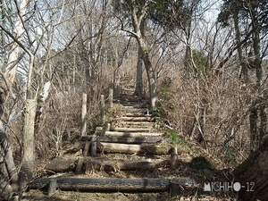 登山道