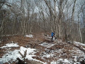 登山道