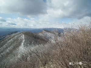 霧氷