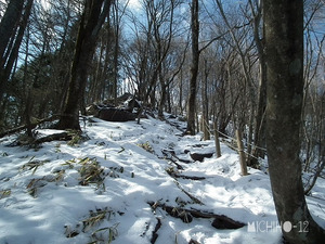 登山道