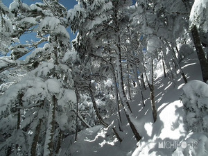 登山道