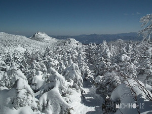 登山道