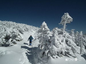 登山道