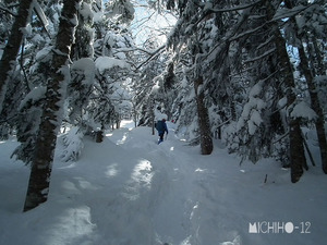 登山道