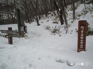 登山口