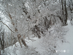 霧氷