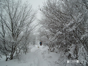 登山道