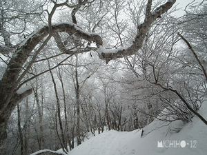 霧氷