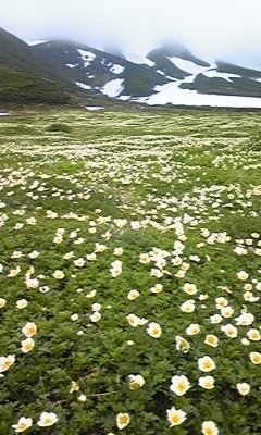 120713_100354.jpg